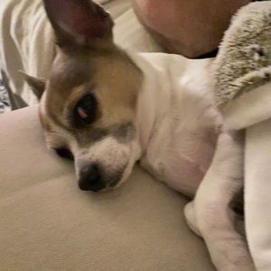 Meet your Posher, Gabrielle